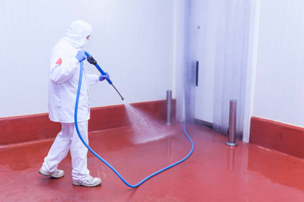 Best Rust Removal  in West Portsmouth, OH